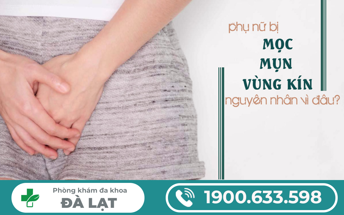 Nổi mụn ở mép vùng kín nữ:  nguyên nhân phổ biến và cách trị